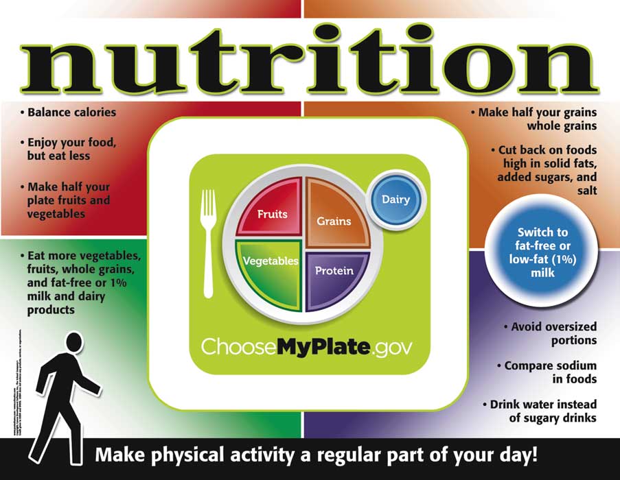 NEW! Nutrition - My Plate Poster